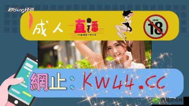 大菠萝福建导航入口：畅享便捷导航之旅