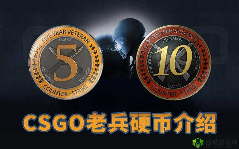 CSGO十周年生日硬币怎么获得：详细攻略