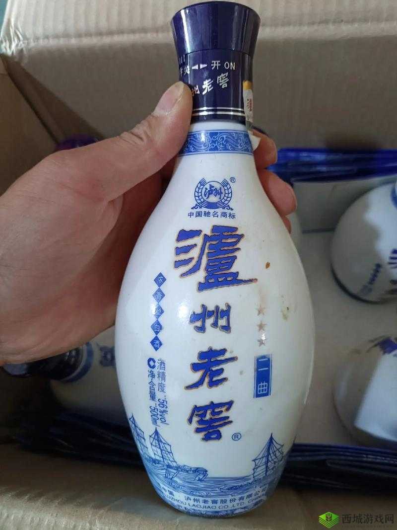 国产电影一曲二曲三曲：深度解析其魅力所在