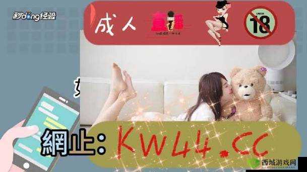 亚洲无人区码二码三码区别解析