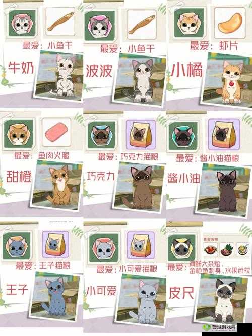 小森生活猫咪选美趣味玩法大揭秘