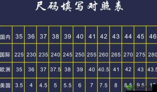 欧洲码、日本码、中国码：尺码标准大揭秘