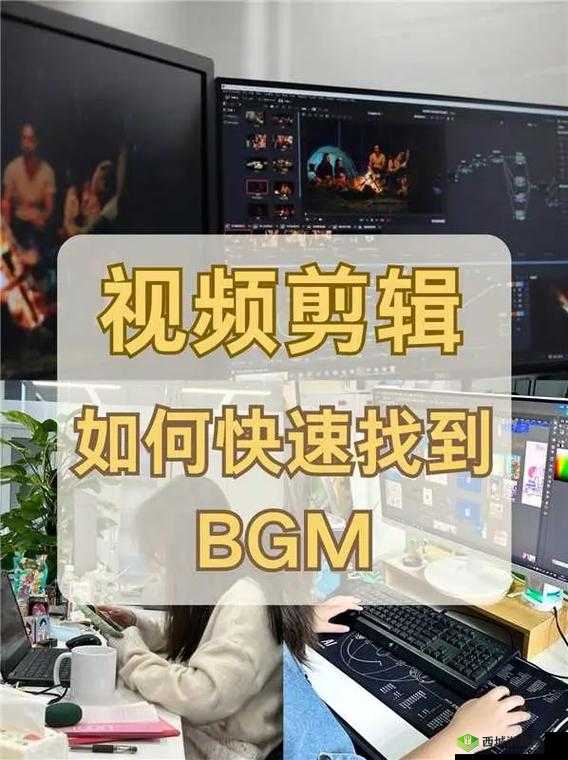 如何寻找免费的视频 bgm 大全：实用方法分享
