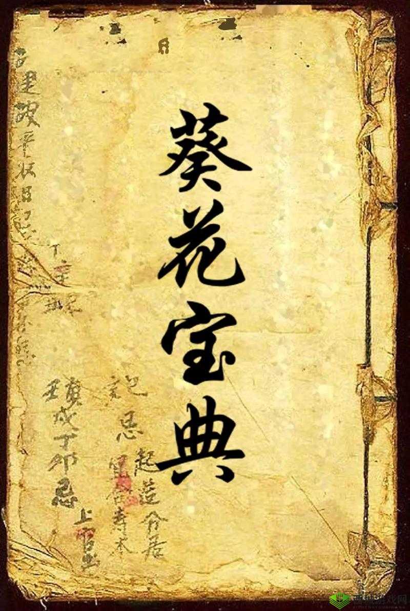 葵花宝典未满十八岁切勿打开秘籍
