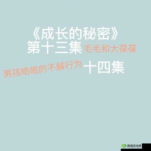 成长的秘密毛毛葆葆观察记录：探索之旅