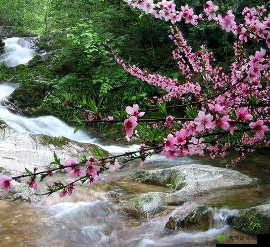 桃花洞口溪水潺潺，景致迷人