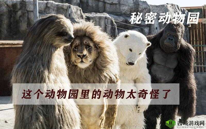 美国 ZOOm 动物园探秘：神奇的动物世界