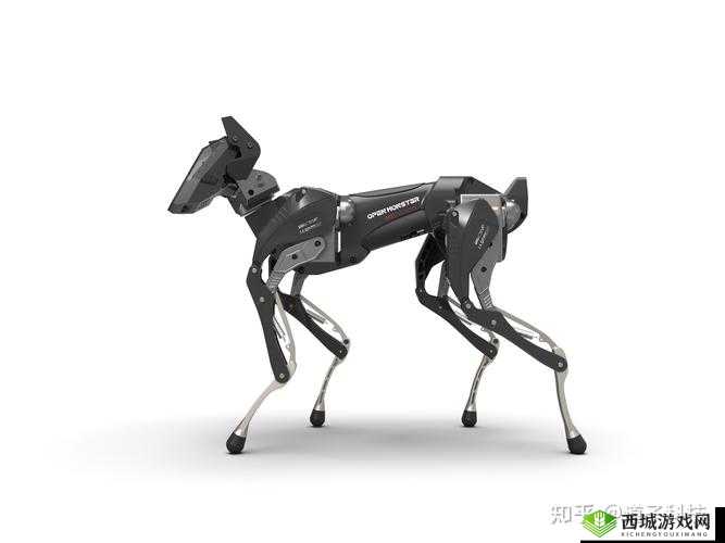 ZOOMSERVO 兽狗产品系列：品质卓越之选