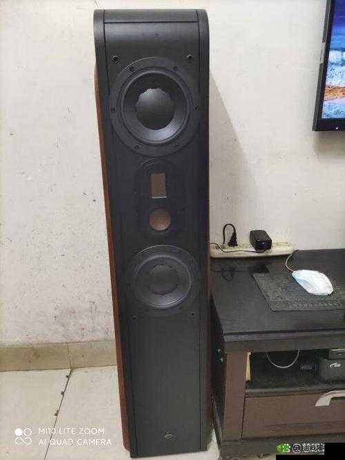 二三线家庭影院有哪些好的产品：惠威、天逸、斯巴克等品牌推荐