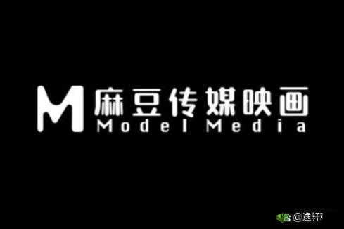 九一传媒制片厂的制作水平如何：深度解析
