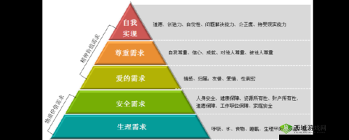 6900 理论：关于某一特定理论的阐述