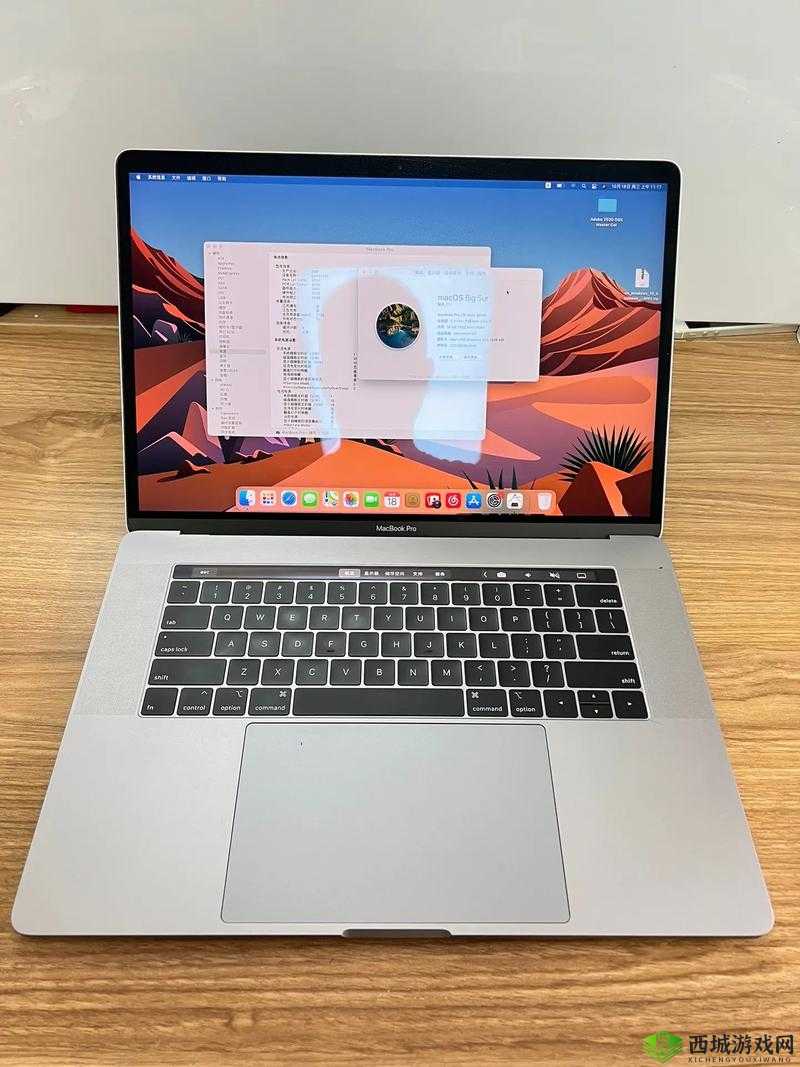 18 岁 MacBook Pro 高清功能：流畅画面呈现