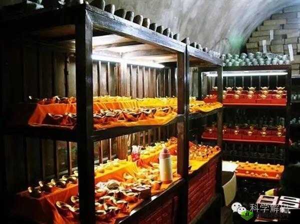 绿巨人聚合藏宝阁：畅享丰富资源宝库