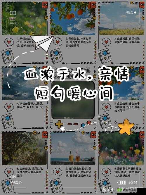 朋友的家长中韩双字：温暖的亲情纽带