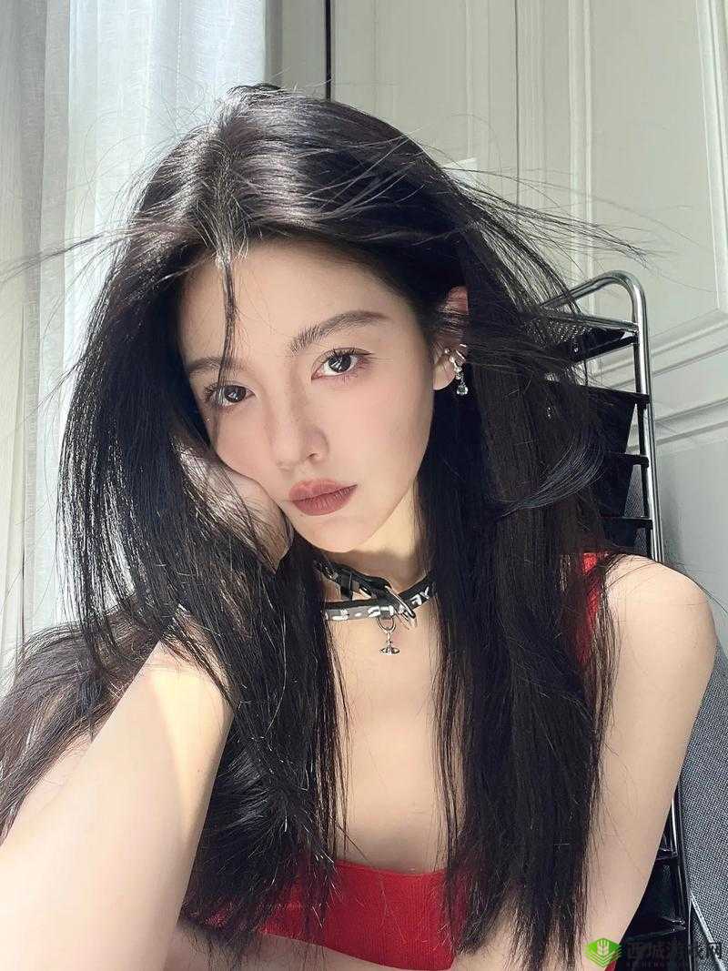 高冷脸的笨蛋美人在黄油如何生存：逆袭之路