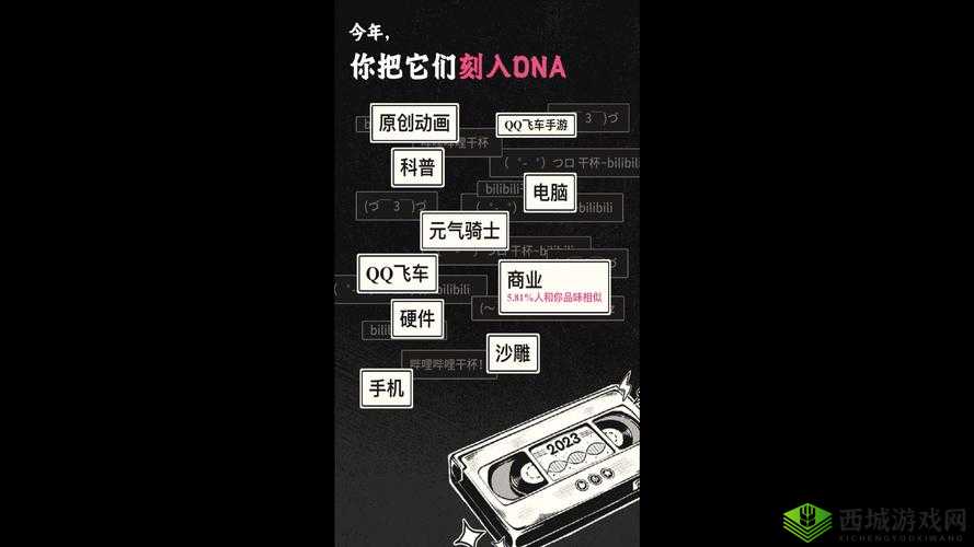 B站大全 2023 年更新：内容全面升级