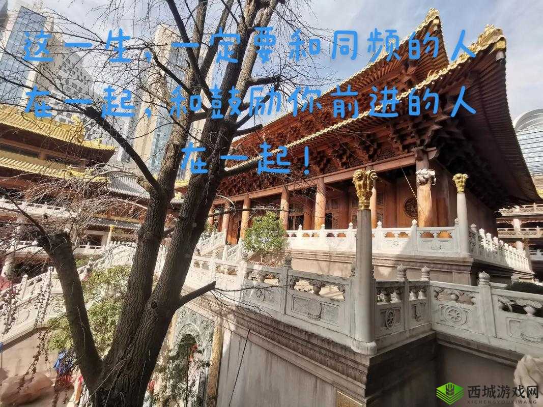 两人一起到达巅峰的几率大吗：携手共进还是分道扬镳