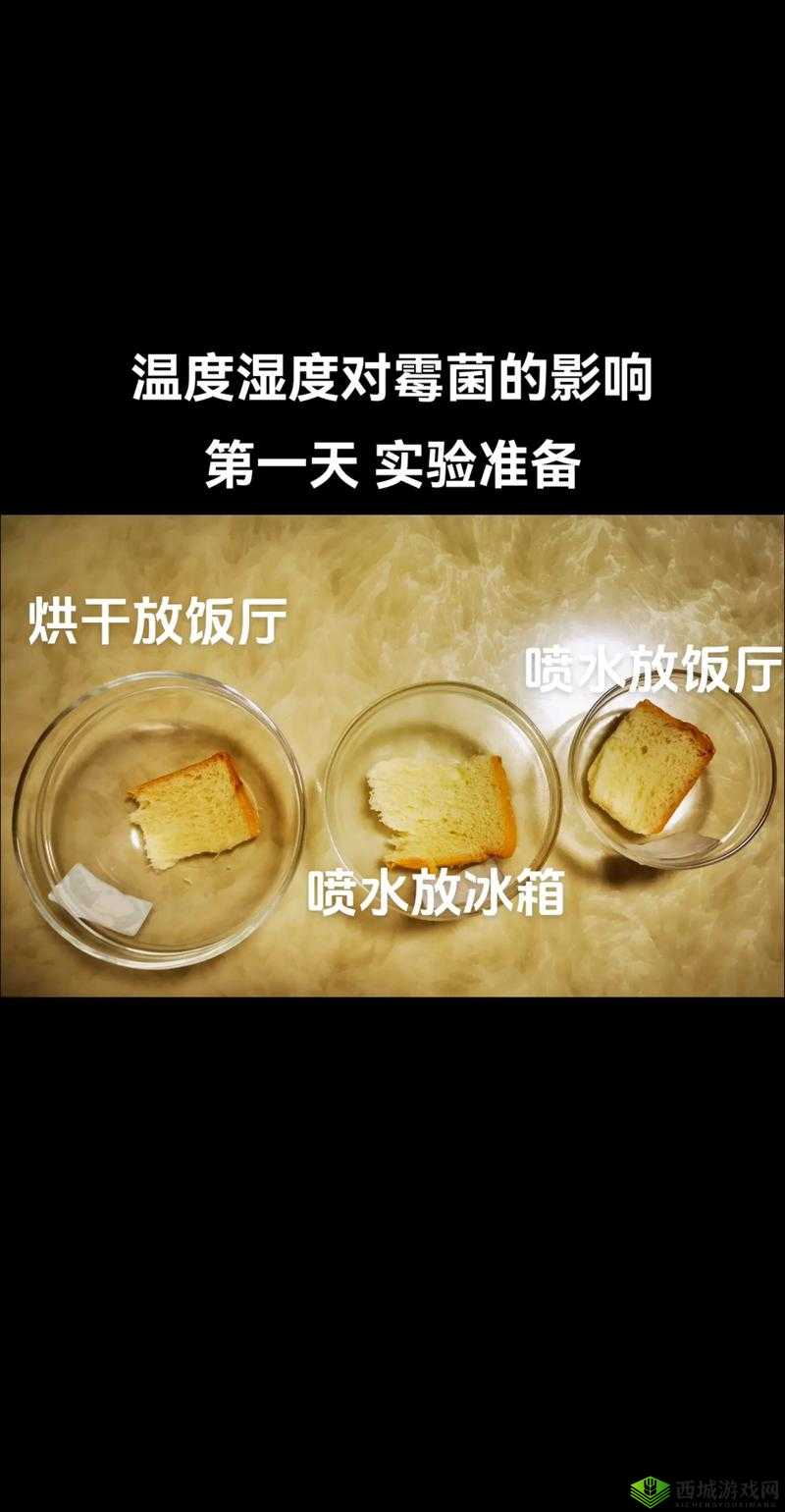 温度类型 h1 什么意思：深度解析与探究