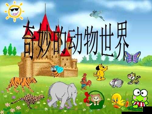 动物 Zoom：揭秘动物界的奇妙世界