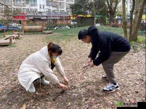 小花园想夹东西怎么办：探寻解决之法