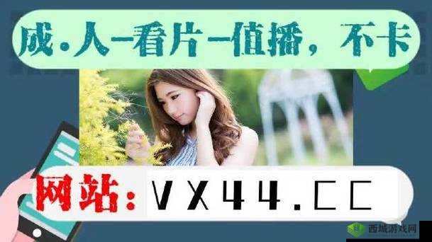 无区码一码二码三码：探索未知的密码世界