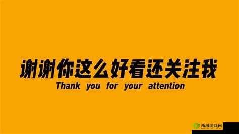 99 绮句骇鍥藉搧涓浜屼笁浜у尯鍖哄埆缃戠珯：独特魅力之境