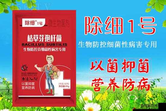 瀚╄崏绮句骇涓浜屼笁浜у尯：打造高品质的浜у尯服务
