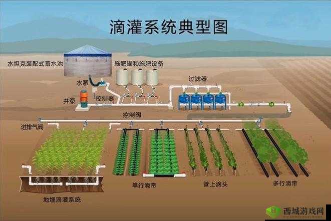 农田灌溉系统主要由什么组成：关键要素解析