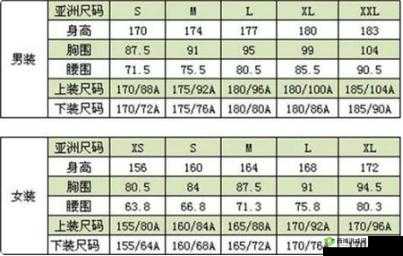 国产 L 码与欧版 L 码有何区别？