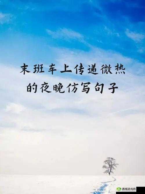 末班车上传递微热的夜晚：一段温暖的旅程