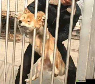 一人一狗卡住 6 小时：安全第一