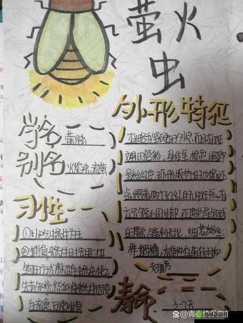 《萤火虫向前冲小伙伴等着我新手攻略》