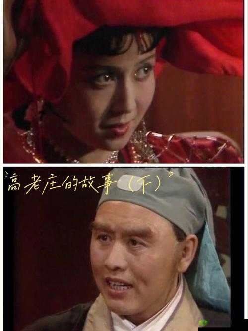 八戒，八戒网剧在线观看 8：高老庄的爆笑冒险