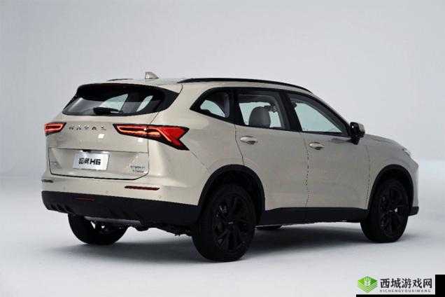 国产 SUV 精品一区二区 6 有什么特点：详细解析