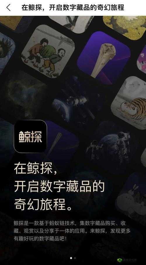 鲸探小块兽价值解析：价格及市场走势分析