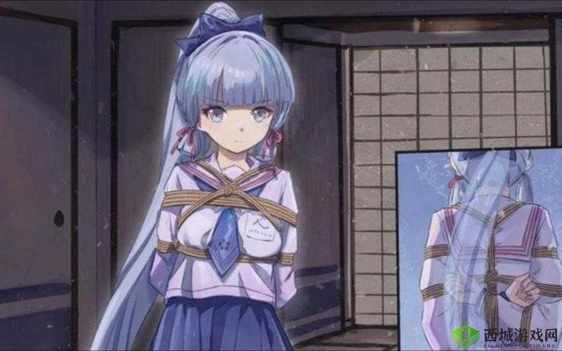 原神：神里绫华被盗宝团抓
