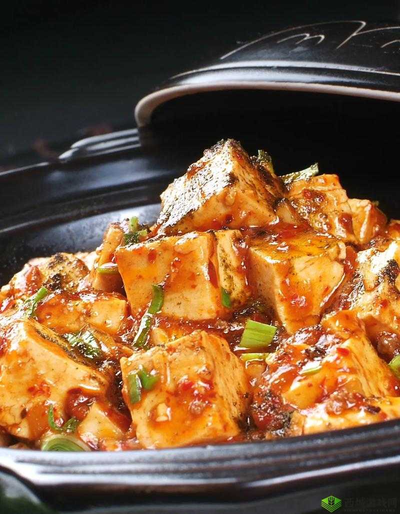 麻婆传谋：鲜香麻辣的美食传奇