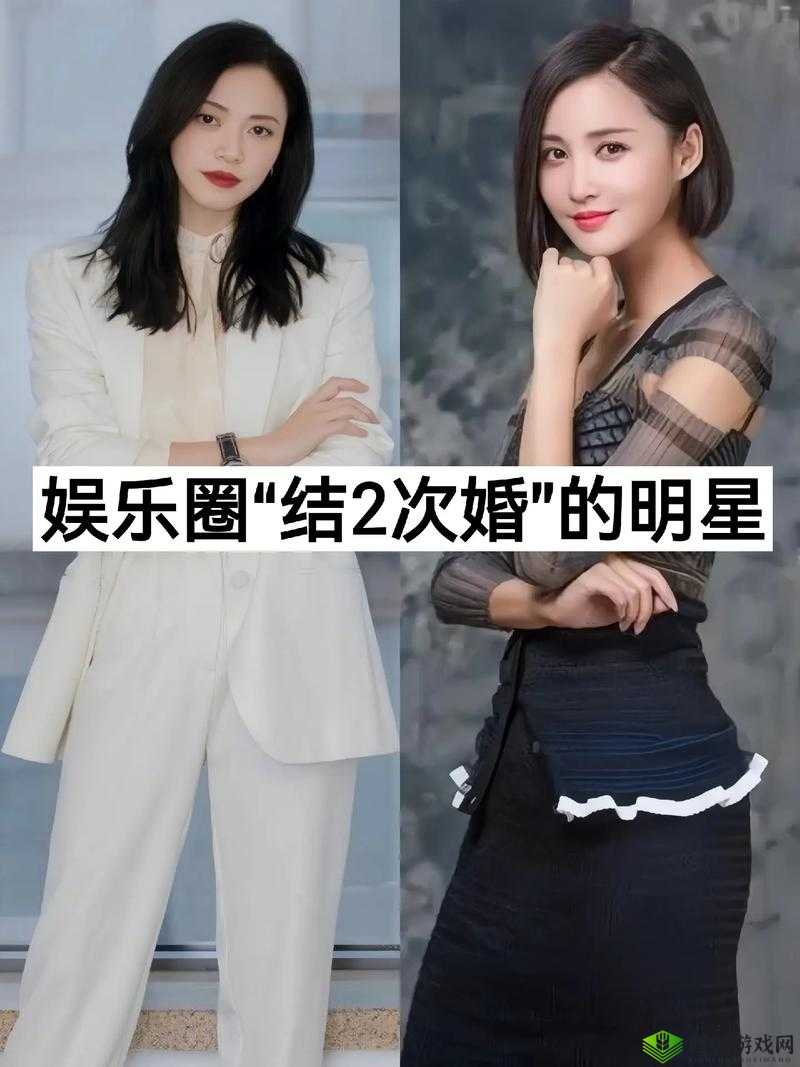 黑料专区：明星那些事儿
