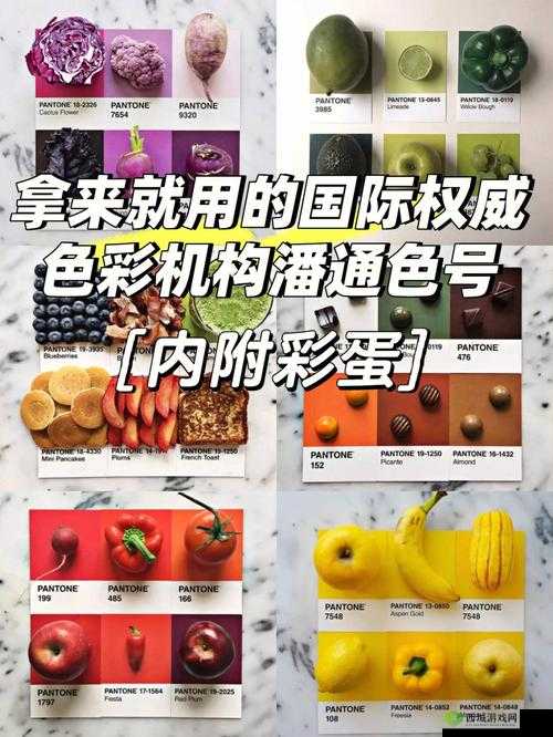 871c 潘通色点亮你的色彩世界- 打造独特个性空间