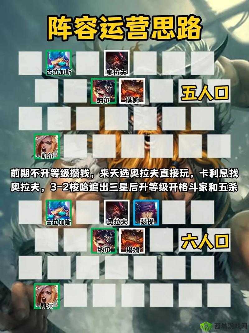 云顶之弈深度解析，斗士职业玩法技巧与策略全面教程
