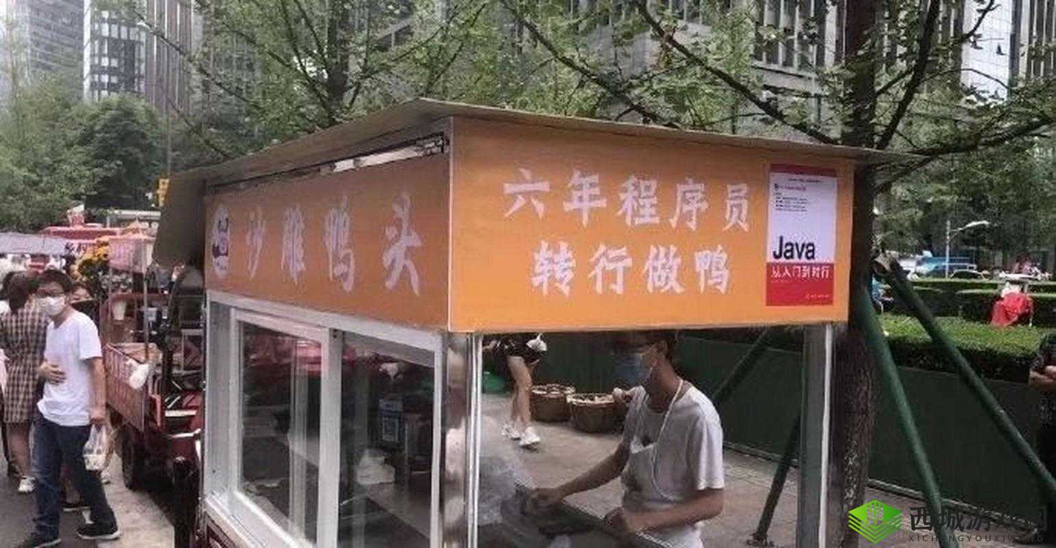震惊日本程序员利用 JAVAPARSER 对中国进行了什么？