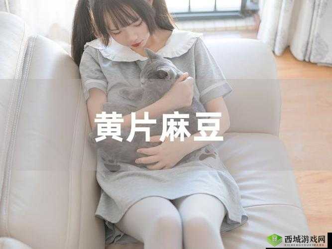 麻豆一精品 OV 免费看：畅享精彩视觉盛宴