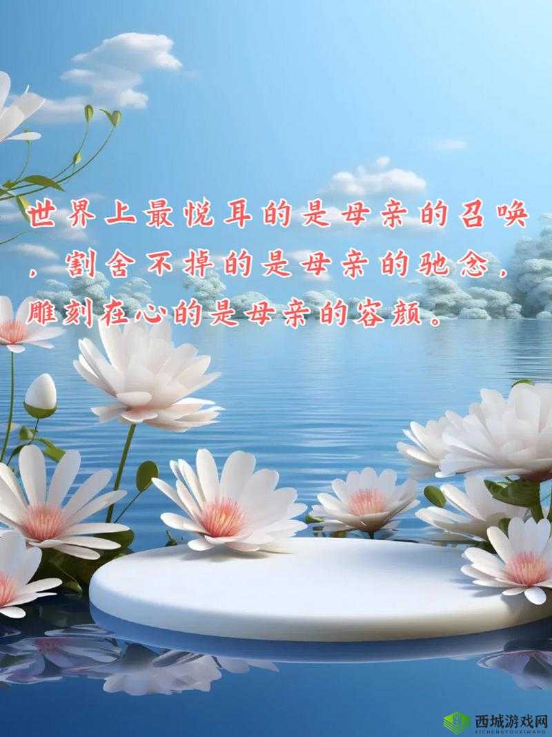 お母ちゃんいいっす什么意思：对母亲的一种赞美表达