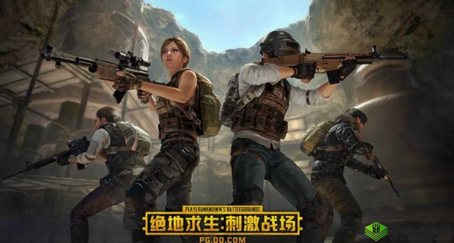 绝地求生刺激战场，深度解析野外作战的艺术与实战策略