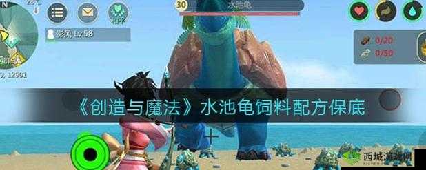 水池龟抓捕秘籍大揭秘，利用三文鱼与鲶鱼的魔法诱惑技巧