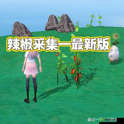 探索创造与魔法的奇幻世界，踏上一场寻觅稀有食材的非凡之旅