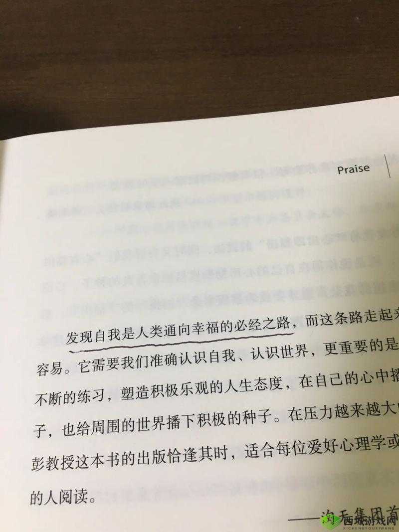 乖我们换个姿态最火的一句：探索全新相处模式的秘诀