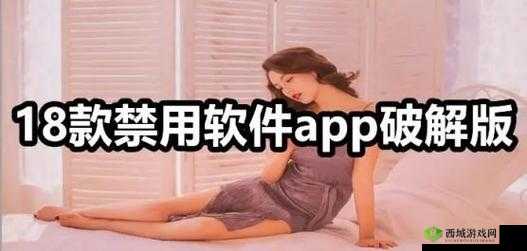 夜里看的 100 多种禁用软件：成人内容，需谨慎使用