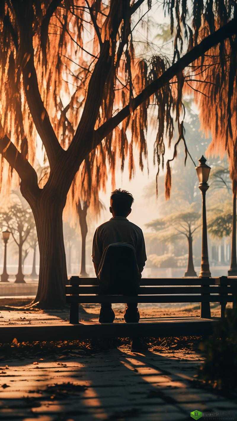 夜里适合男生看的东西：那些能让男生沉浸的精彩内容