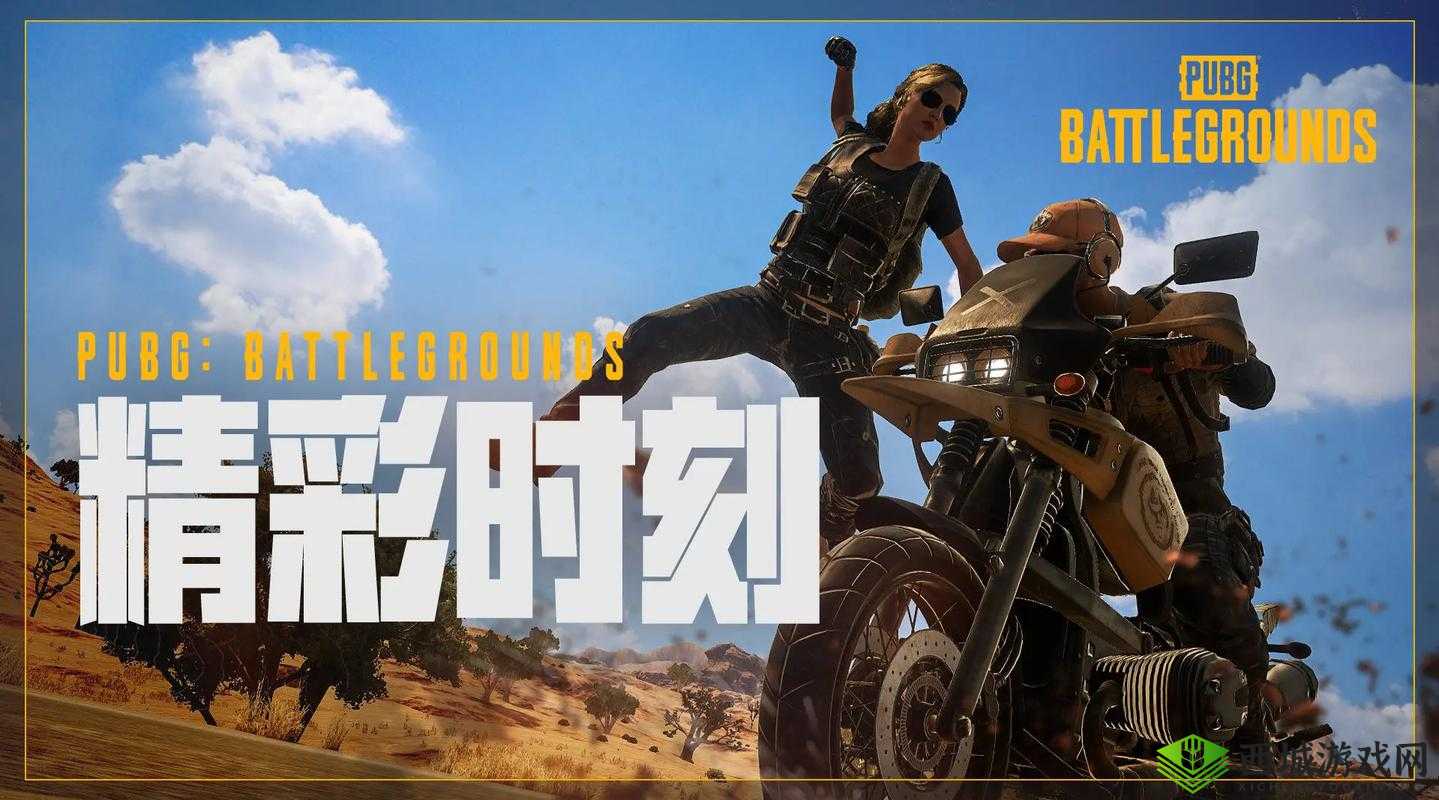 绝地求生全军出击，遇见幻影坦克，探索资源管理独特体验，实现价值最大化策略
